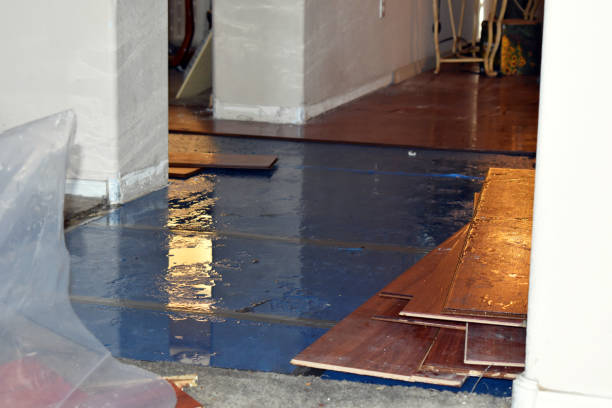 Professional Burst Pipe Cleanup technician working in Murphy, TX